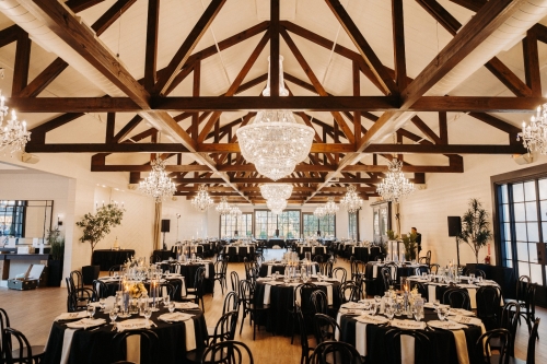 >Si Vo Weddings LLC - Houston Best Wedding Photographer - 085 