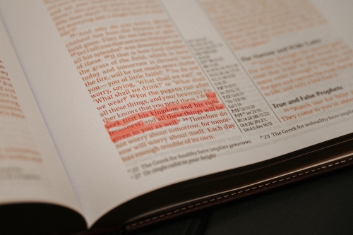 >Si Vo Weddings LLC - Houston Best Wedding Photographer - 091 